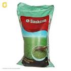 عدس کانادایی فله